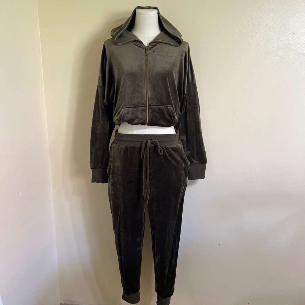 Felina Womens Velour Tracksuit Set Gray Velvet Zip Hoodie Joggers Large C7589